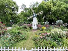 -上海共青森林公园