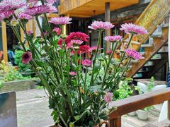-吃货私房菜(丽江束河古镇店)