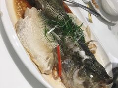 -至潮餐厅精致粤菜·活鲈鱼·走地鸡(珠江新城店)