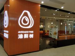 -油梨树 AVOCADO TREE(亮马桥店)