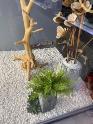 -木北造型