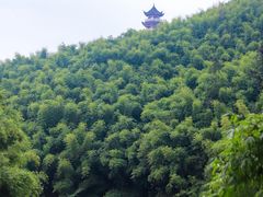 -沐川竹海旅游景区