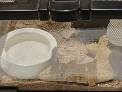 -酷嗒动物文化乐园(cutezoo西溪乐天城店)