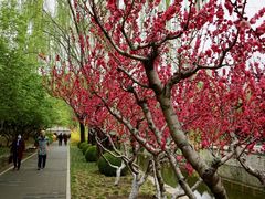 -元大都城垣遗址公园