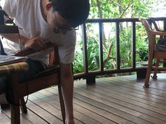 -卷心菜和避孕套餐厅(Pattaya)