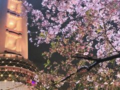 -东方明珠广播电视塔