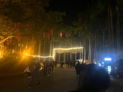 -南宁花花大世界景区
