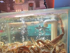 -紫阳海鲜楼·传承闽味(长乐路总店)