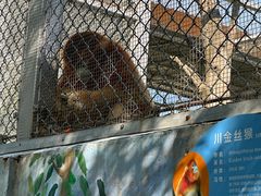 -西安秦岭野生动物园