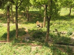 -杭州野生动物世界