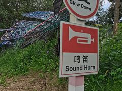 -红山村
