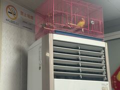 -迎扬春茶社(闻喜路店)