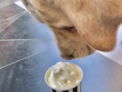 -JW德国冻酸奶Frozen Yogurt(龙湖成都滨江天街店)