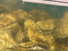 -锅老头铁锅炖•大锅蒸汽海鲜(韩乐坊店)