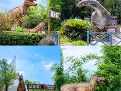 -海合安武汉极地海洋公园