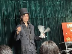 -沉浸式亲子魔术秀-魔大星爆笑小剧场