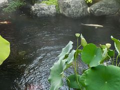 -半坡国际艺术区