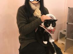 -猫咪派对(江南西店)