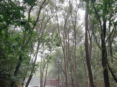 -沈阳市东陵公园