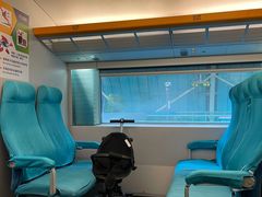 -龙阳路磁悬浮列车总站-停车场