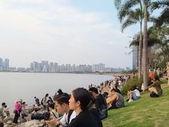 -宝安西湾红树林湿地公园