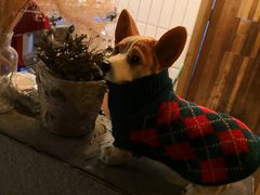 -佐佑帐篷环游记(南锣鼓巷店)