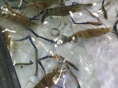 -渔民新村(番禺总店)