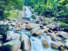 -海南热带雨林国家公园吊罗山景区