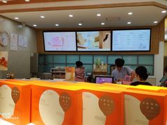 -蒲公英(五里店)