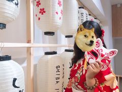 -柴迷FANS CLUB·柴犬狗咖·猫咖