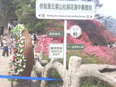 -木兰云雾山