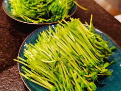 鲜活豌豆苗-湊湊火锅·茶憩(打浦桥日月光店)