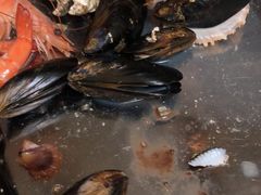 -宾朋海鲜美食餐厅·特色美食(兴海路店)