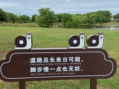 -高淳老街