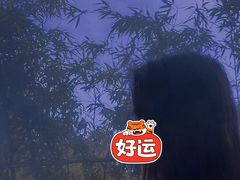 -太极泉健康休闲广场