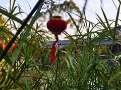 -大门水乡·顺德菜