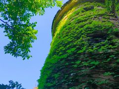 -北京张裕爱斐堡酒庄