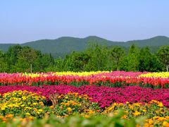 -中国香山·寿香谷