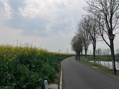 -金银湖国家城市湿地公园