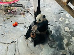 -济南野生动物世界