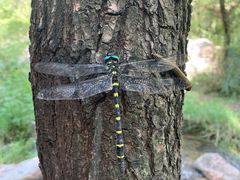 -碓臼峪自然风景区