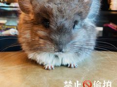 -龙猫仔乐园(惠福东路店)