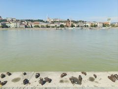 -多瑙河畔鞋履雕塑