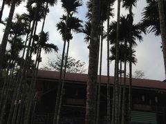 -海南槟榔谷黎苗文化旅游区