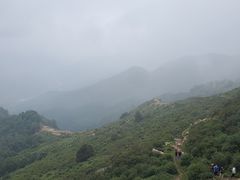 -空中草原
