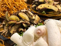-易门野生菌府·菌海森林(月牙潭公园店)
