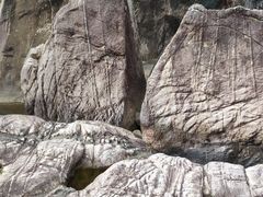 -广州白江湖森林公园