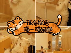 -瞄一喵猫咖(格力海岸店)