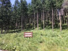 -塞罕坝国家级自然保护区