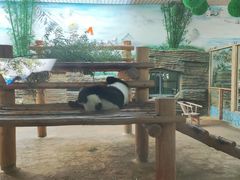 -西霞口神雕山野生动物世界